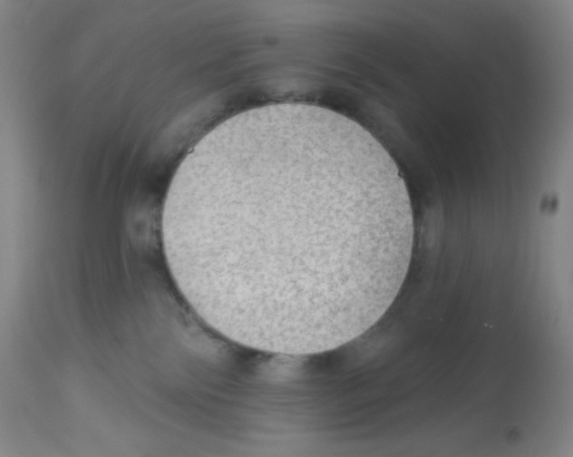 X0000113960138200910232037