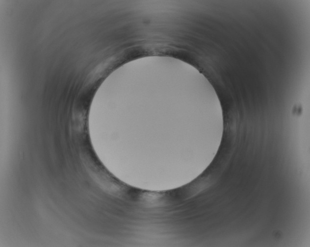 X0000113960139200910232037