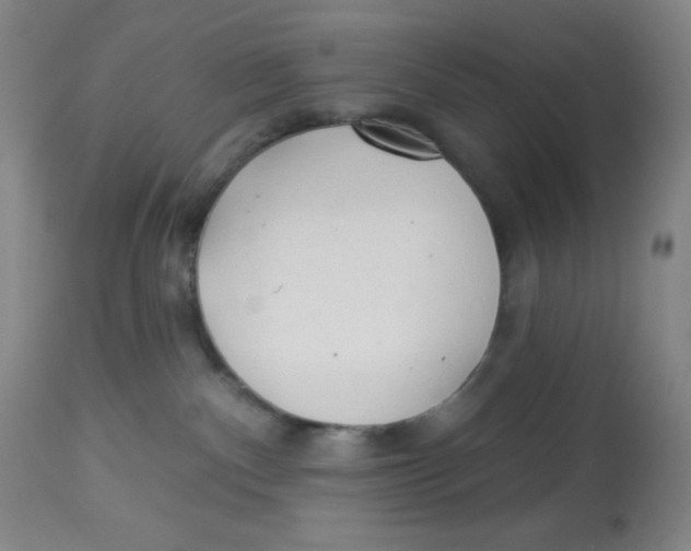 X0000113960140200910232037