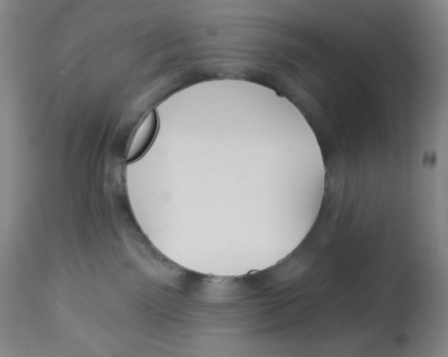 X0000113960141200910232037