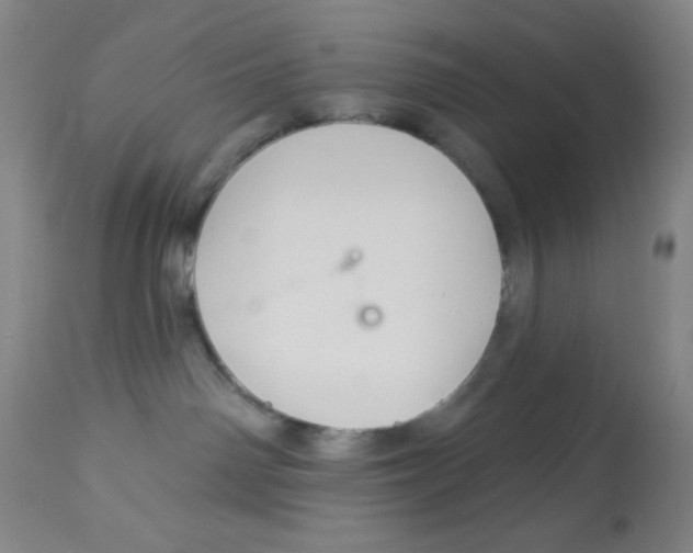 X0000113960142200910232037