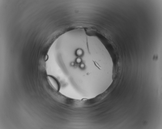 X0000113960143200910232037