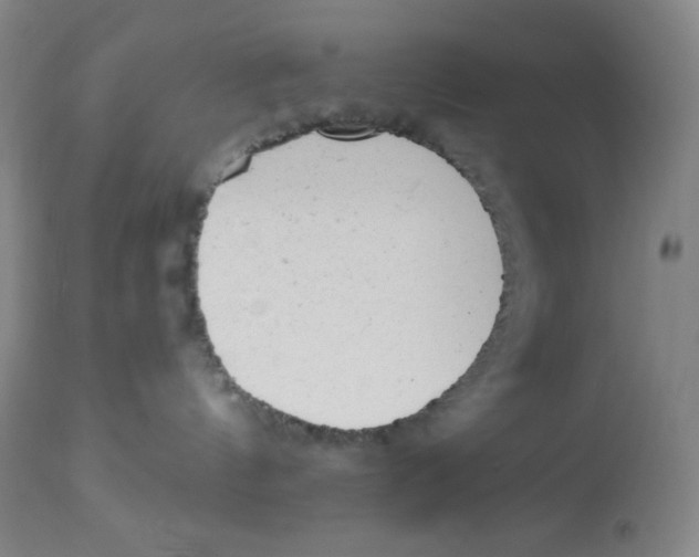 X0000113960144200910232037
