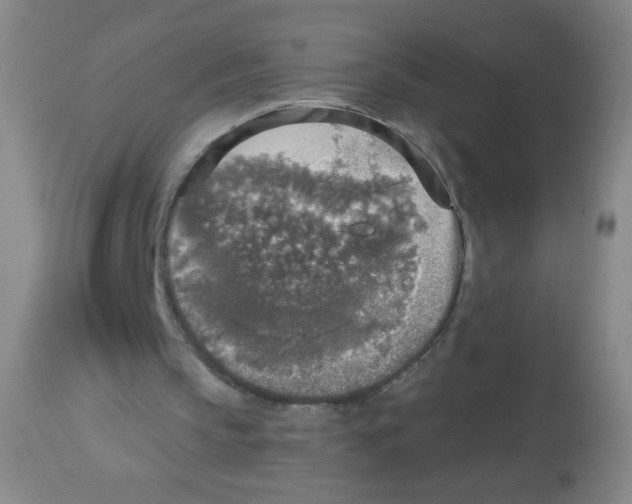 X0000113960145200910232036