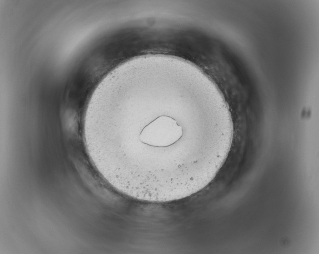 X0000113960146200910232036