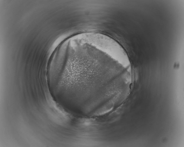 X0000113960147200910232036
