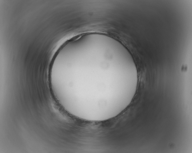 X0000113960148200910232036