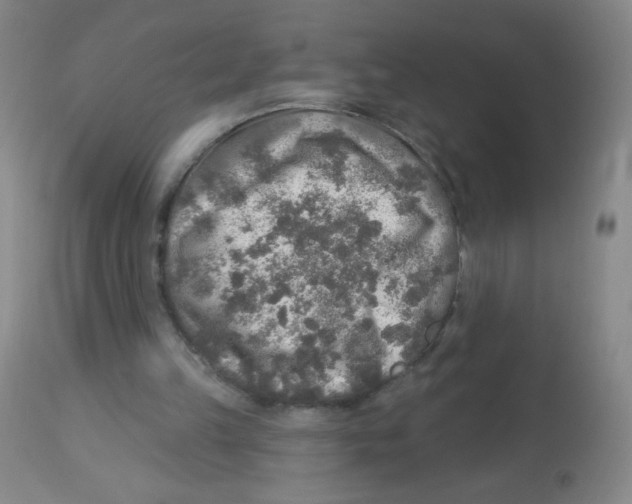 X0000113960149200910232036