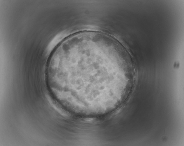 X0000113960151200910232036