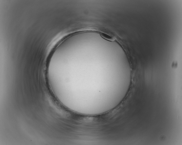 X0000113960152200910232036