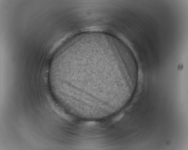 X0000113960153200910232036