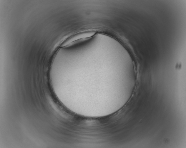 X0000113960154200910232036