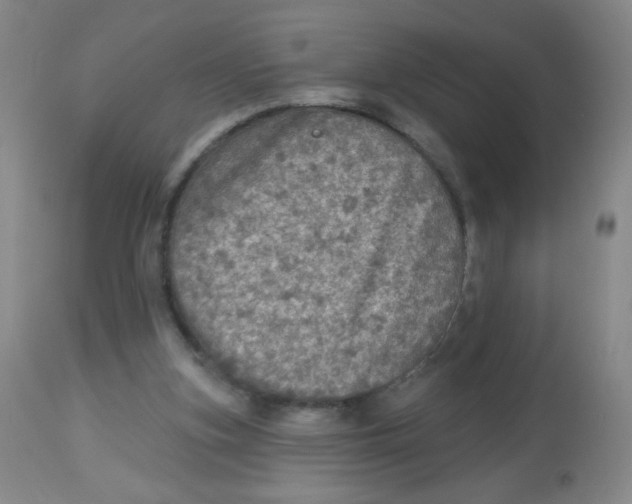 X0000113960155200910232036