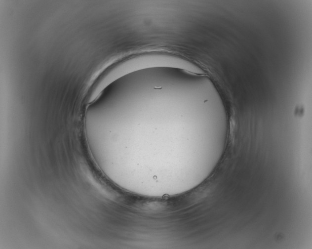 X0000113960156200910232036