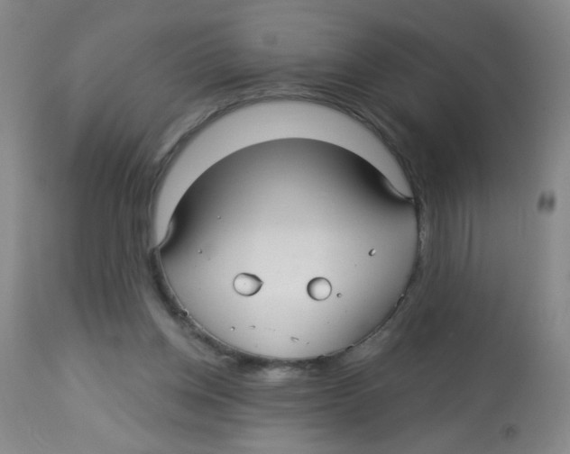 X0000113960158200910232037