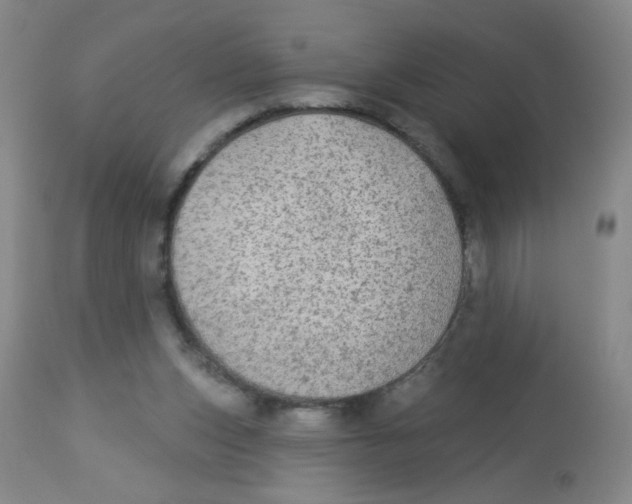 X0000113960159200910232037