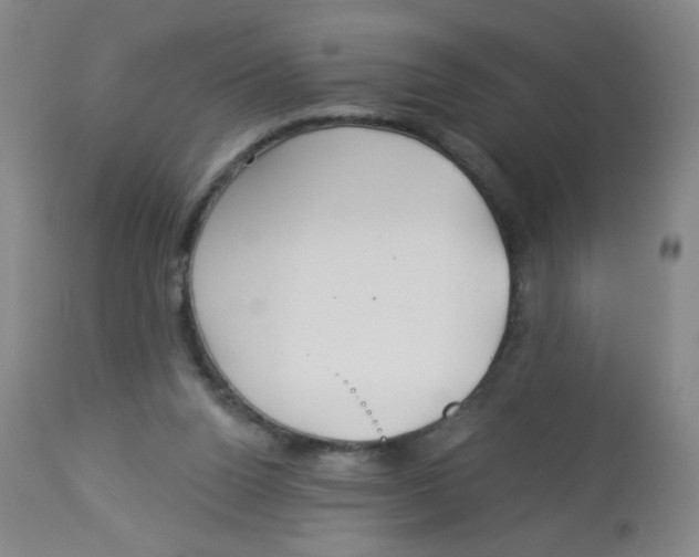 X0000113960160200910232037