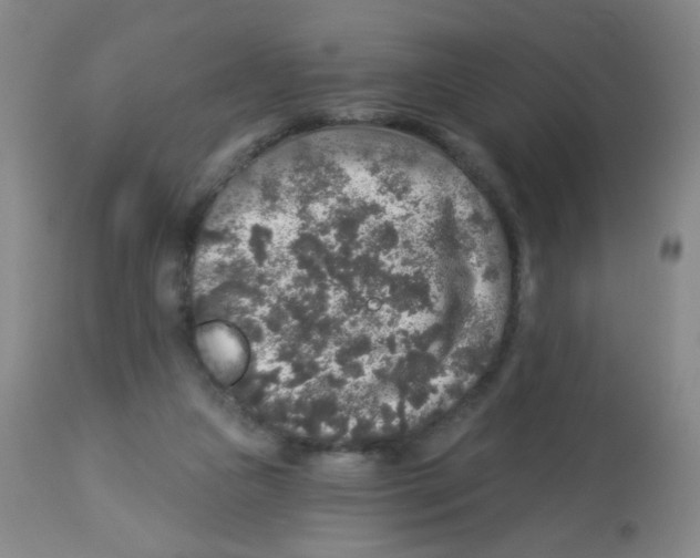 X0000113960161200910232037