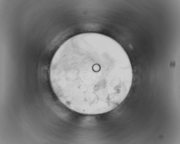 X0000113960162200910232037