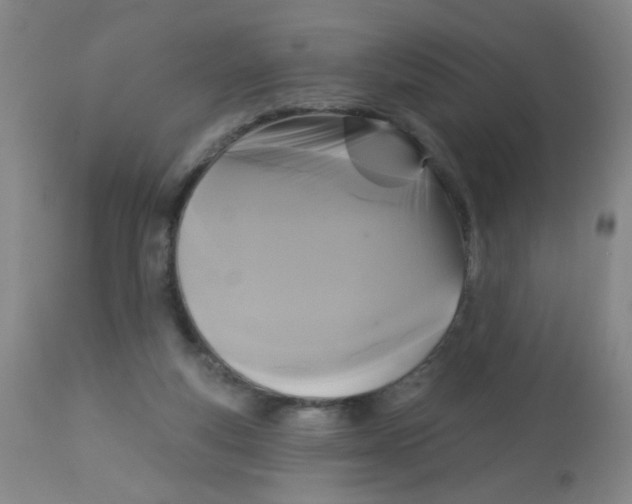 X0000113960163200910232037