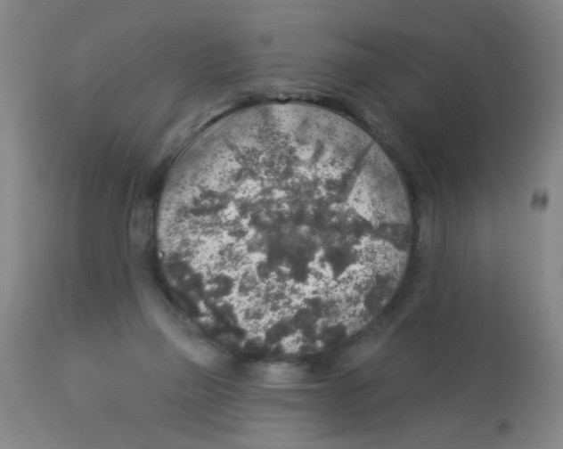X0000113960165200910232037