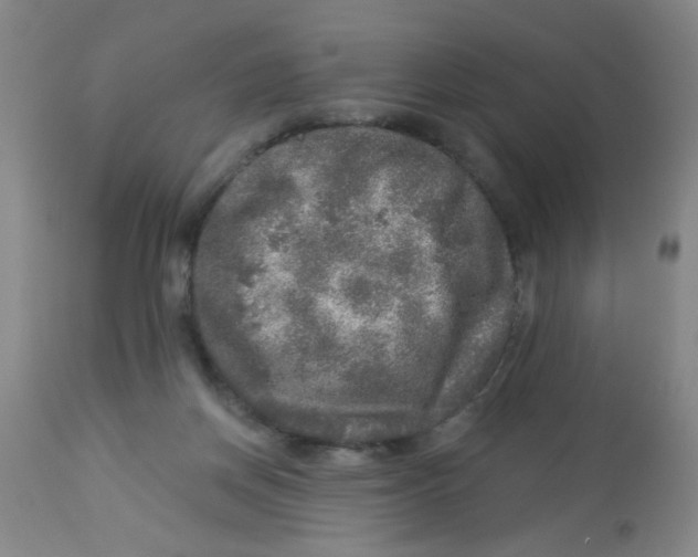 X0000113960166200910232037