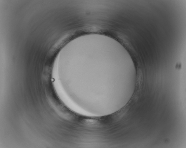 X0000113960167200910232037