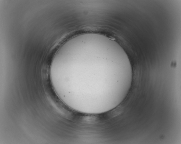 X0000113960168200910232037