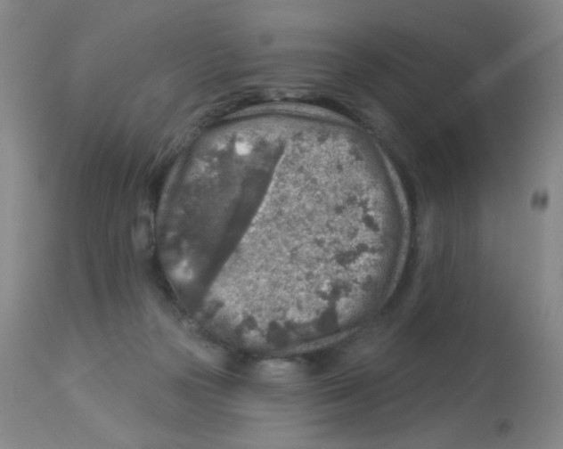 X0000113960169200910232037