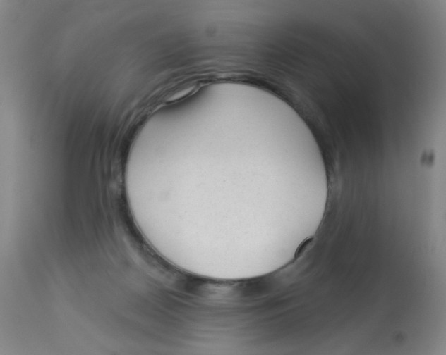 X0000113960170200910232037