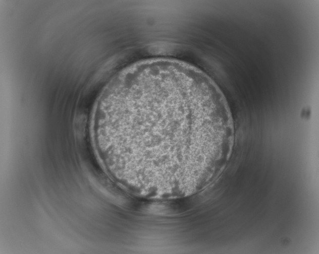 X0000113960171200910232037