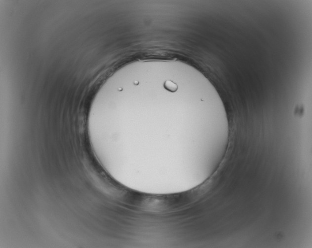 X0000113960174200910232037