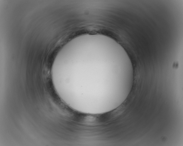 X0000113960176200910232037