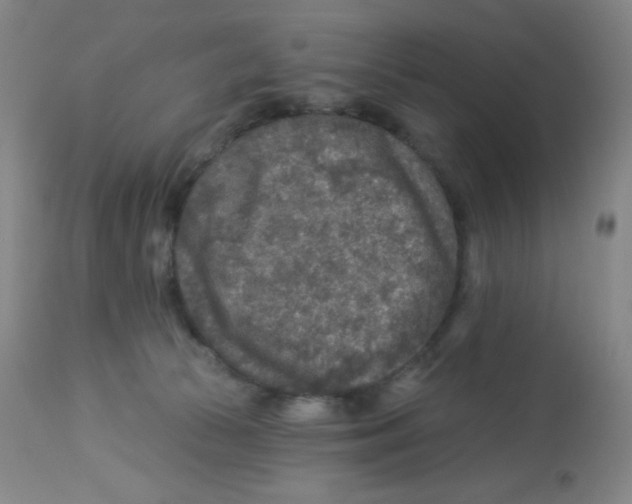 X0000113960177200910232037