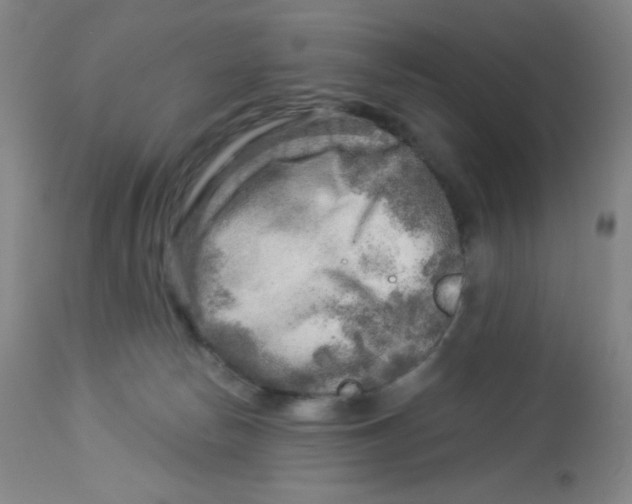 X0000113960178200910232037