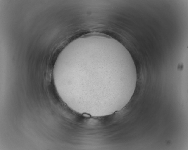 X0000113960180200910232037