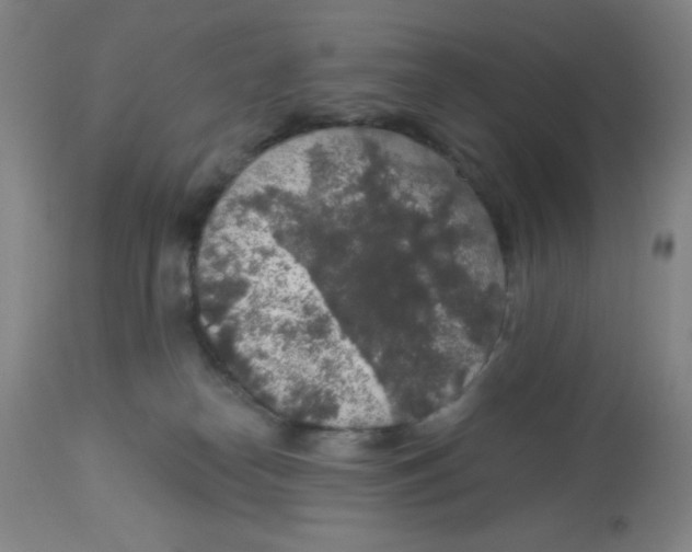 X0000113960182200910232037