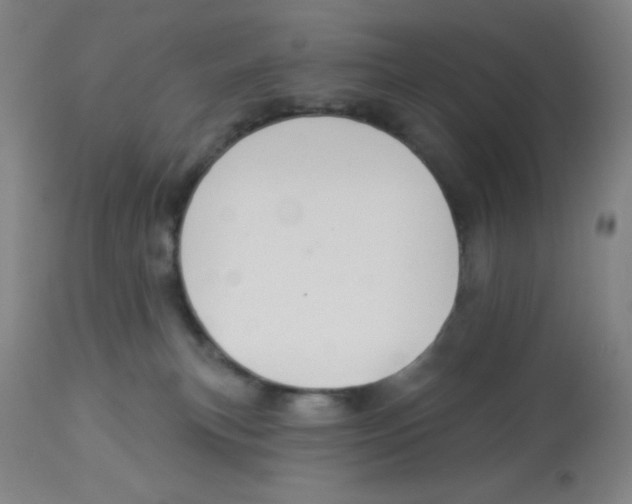 X0000113960183200910232037