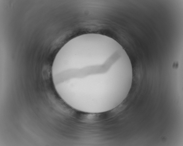 X0000113960184200910232037