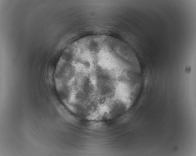 X0000113960185200910232037