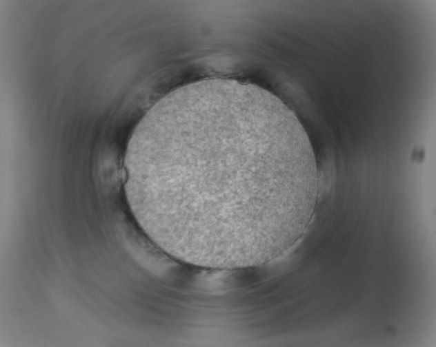 X0000113960186200910232037