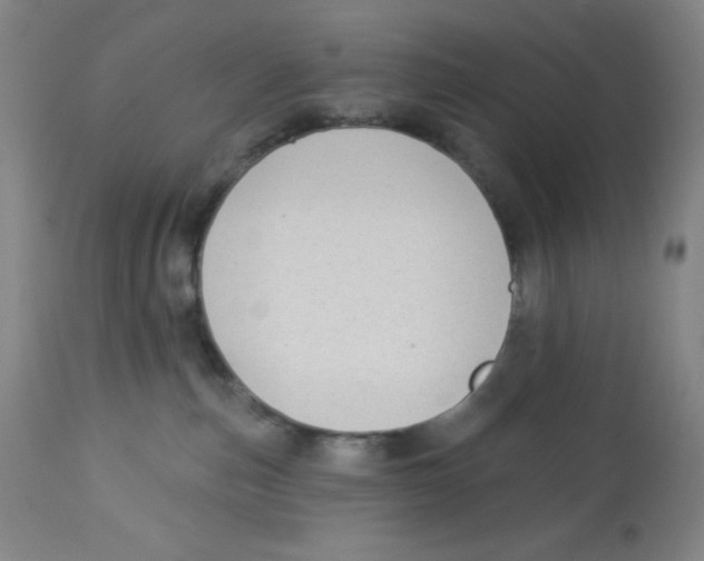 X0000113960187200910232037