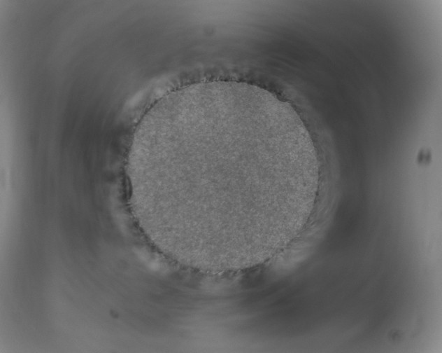X0000113960192200910232037