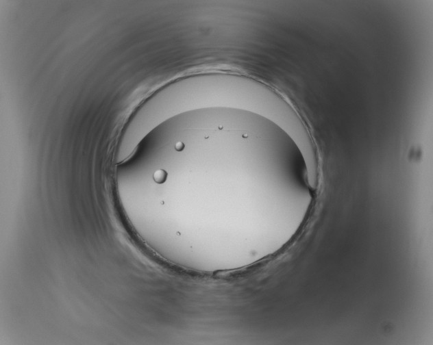 X0000113960193200910232036