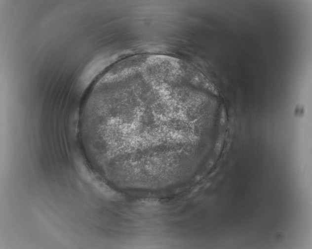 X0000113960194200910232036