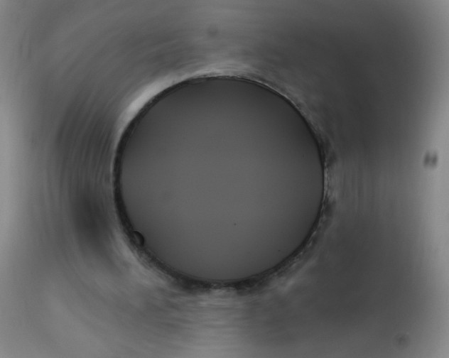 X0000113960196200910232036