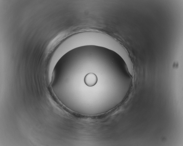 X0000113960197200910232036
