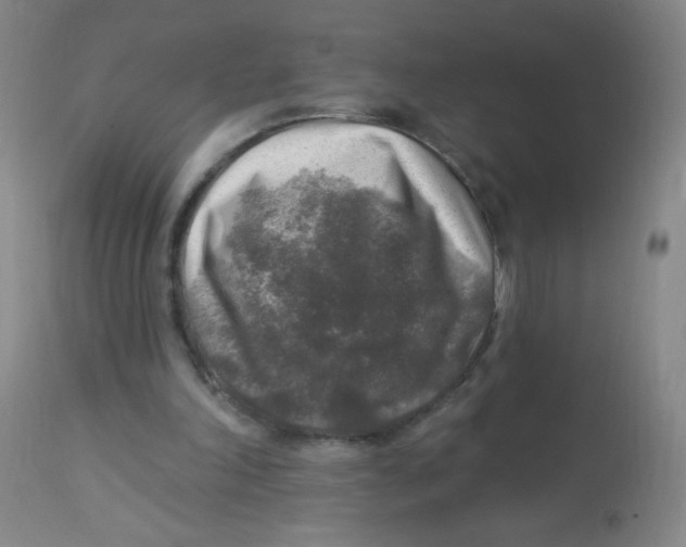 X0000113960198200910232036