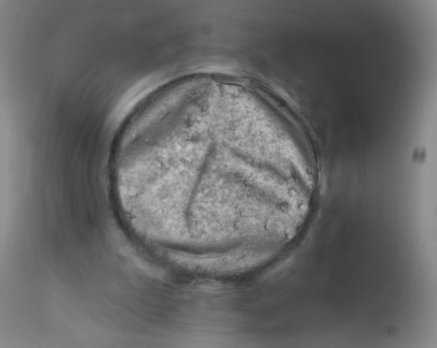 X0000113960199200910232036
