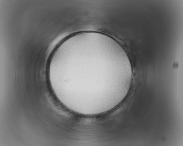 X0000113960200200910232036